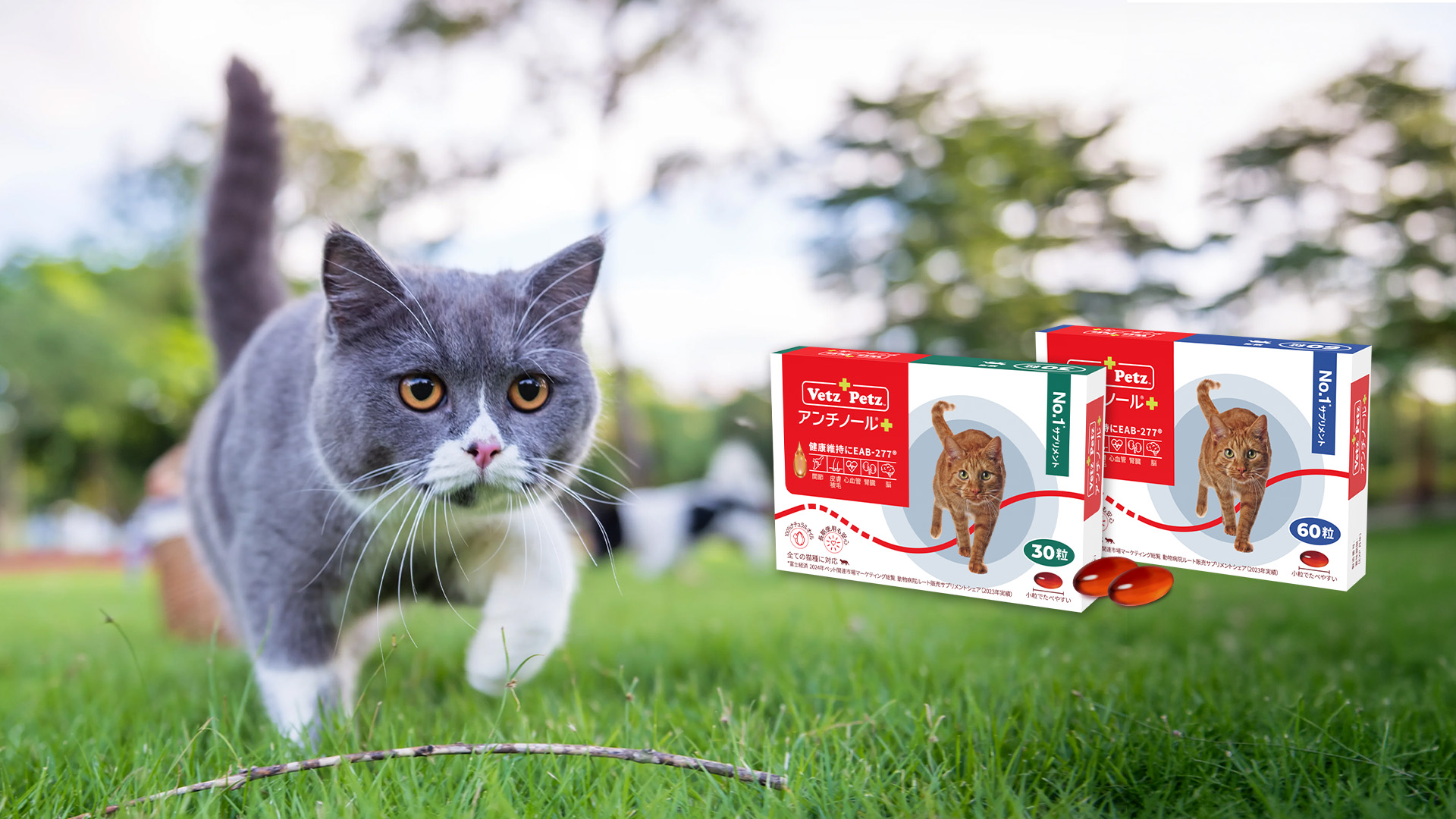 Amazon | Vetz Petz 公式 アンチノール プラス 簡単カプセル 正規品 猫